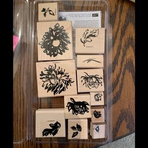 Pretty Peony rubber stamp set